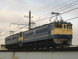 ef65-1041-20090220