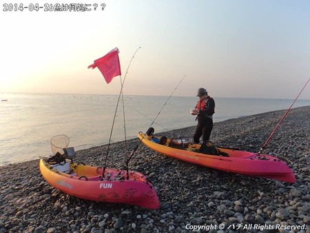 2014-04-26魚は何処に?? (4)