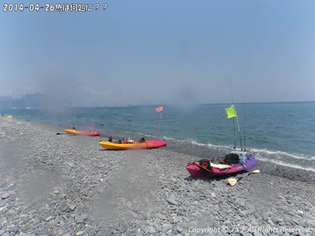 2014-04-26魚は何処に?? (7)