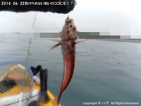 2014-06-22負けられない戦いがココにも!?(2) (4)