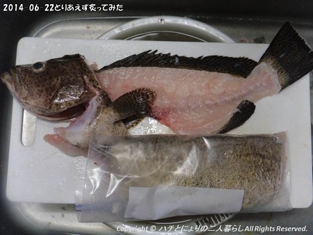 2014-06-22とりあえず炙ってみた (2)