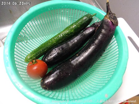 2014‐06-23収穫 (7)