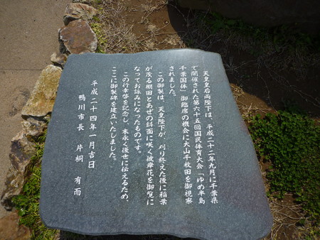 P1030878