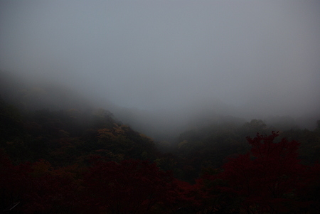 IMGP0164