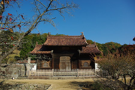 IMGP0298