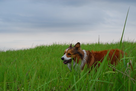 DSC_0052