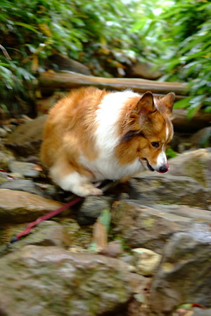 DSCF5546