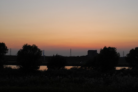 DSC_0481