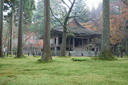 P1000606