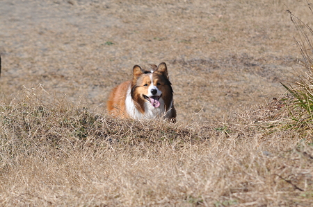 DSC_0202