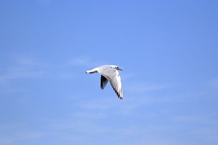 DSCF0602