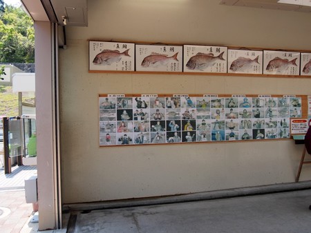mitinoeki_tottopark_kojima05