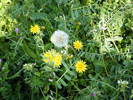 DSCF0902