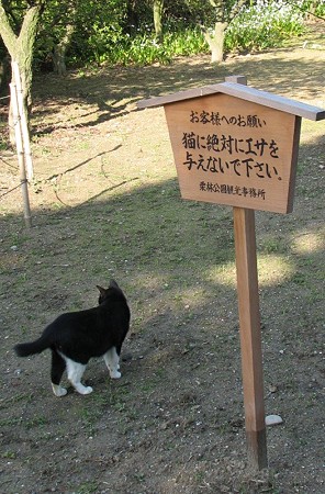 高札とハナシロ