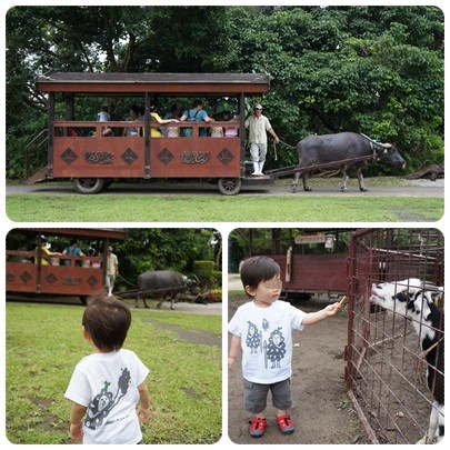 20120604 ビオスの丘