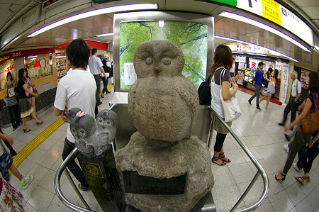 IMGP9441