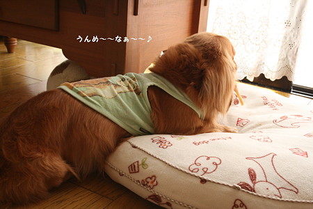東矢1