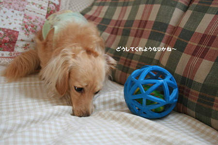 摩耶7