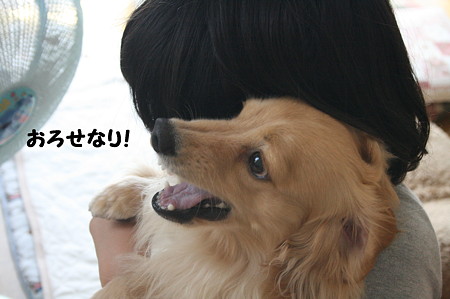 お姉とあぞぼう 1