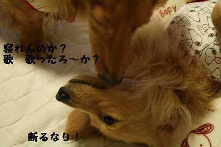 眠れない 4