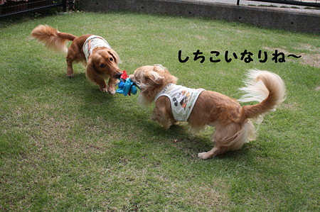 だっこちゃん 3
