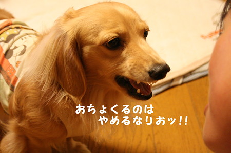 怖いよ!摩耶さん3