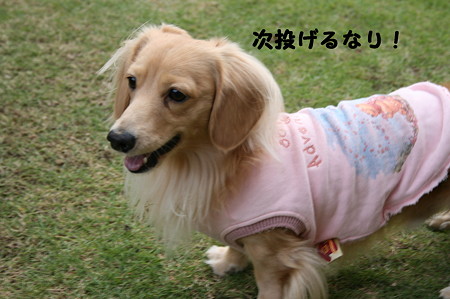 お庭で~ 2
