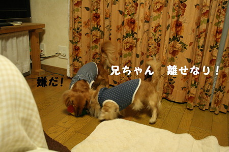 紙風船4