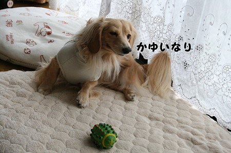 摩耶 3