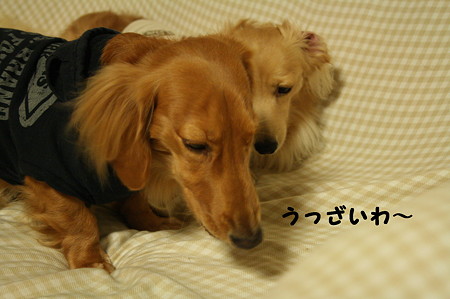 おやつ 1
