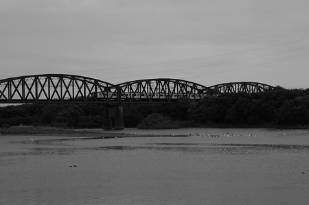 橋
