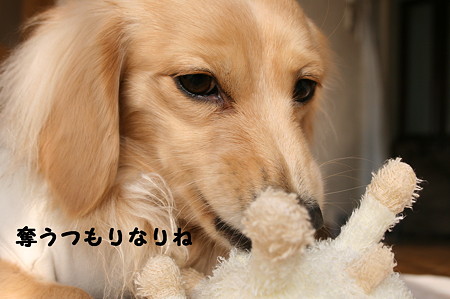 俺のおもちゃ 10