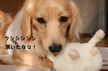 俺のおもちゃ 8