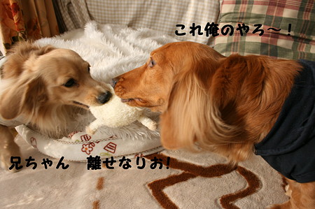 俺のおもちゃ 6