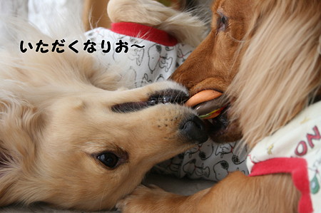 東矢くんと摩耶さん15