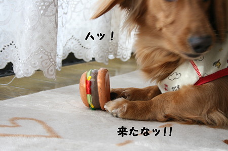 東矢くんと摩耶さん10
