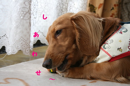 東矢くんと摩耶さん9