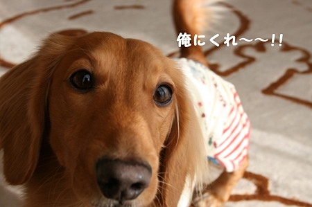 東矢くんと摩耶さん3