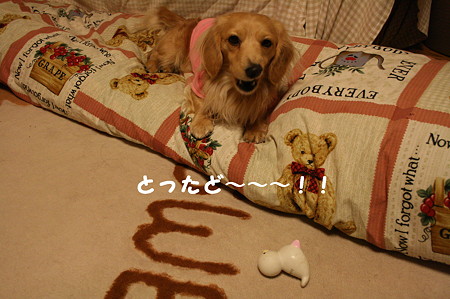 摩耶さん 7