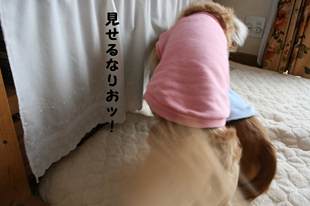 東矢くんと摩耶さん2
