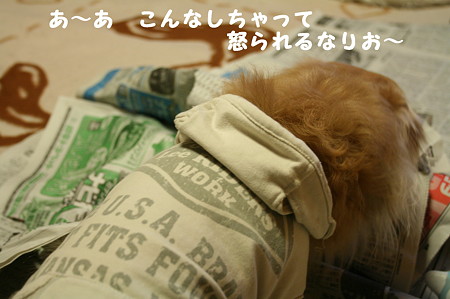 あ~あ・・