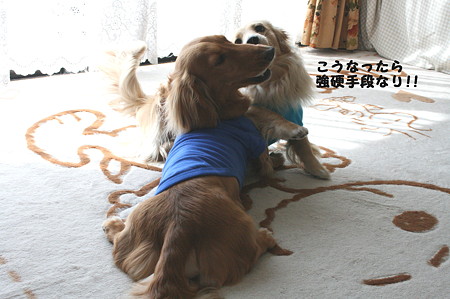 強行手段!