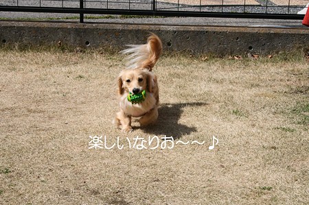お庭で遊ぼう♪ 1