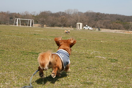 かけっこ