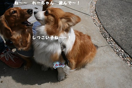はじめまして~れーちゃん♪