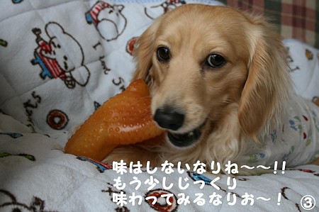 おNEWおもちゃ 3