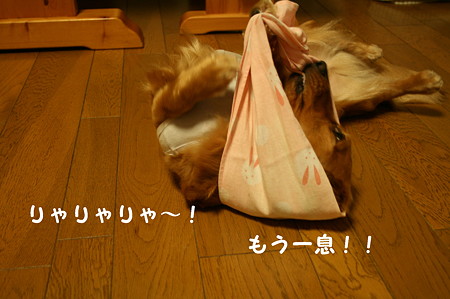 ほっかぶり隊 6