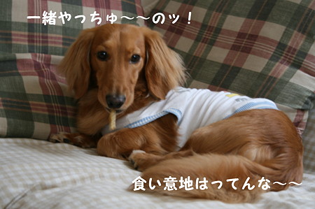 おやつ 6