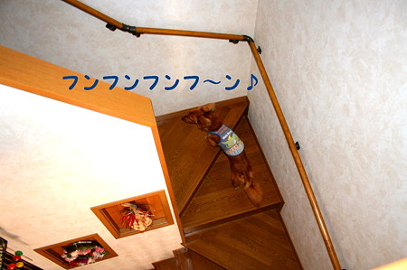 東矢1