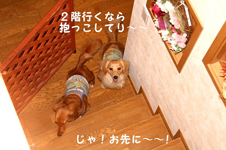 摩耶6
